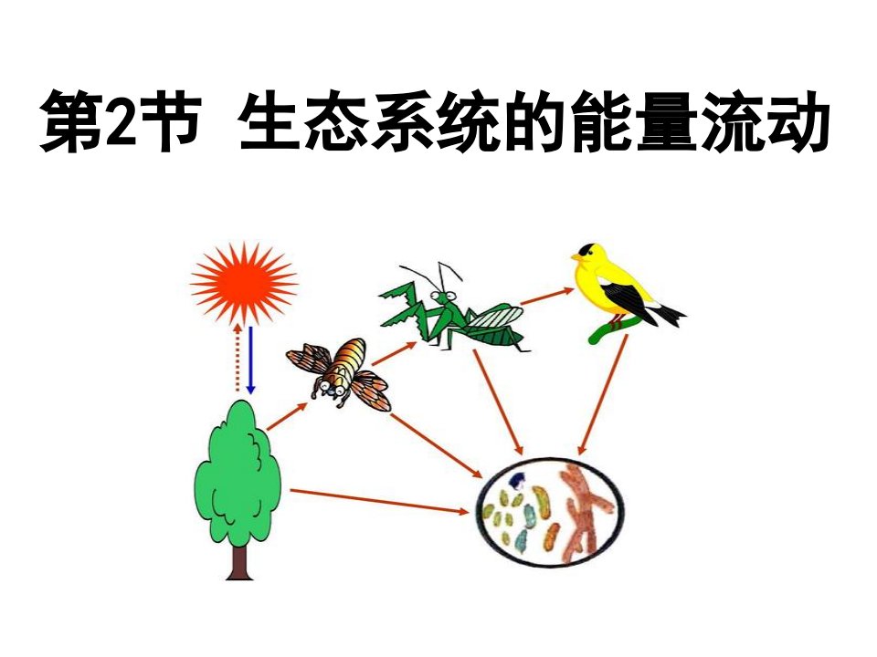 人教版新教材选择性必修二-3.2-生态系统的能量流动课件