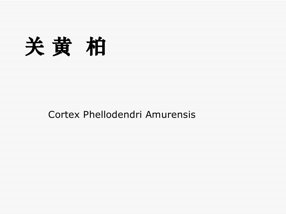 关黄柏、川黄柏ppt课件