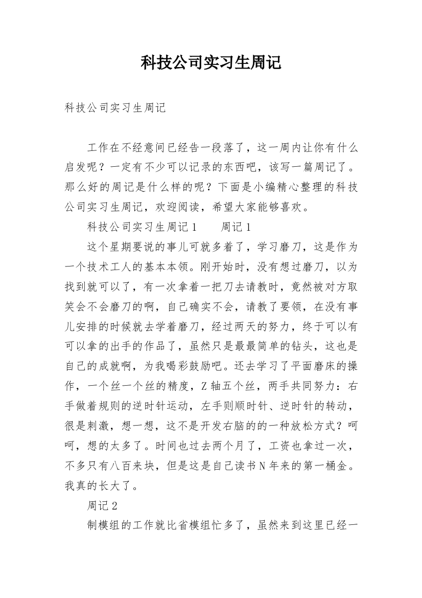 科技公司实习生周记