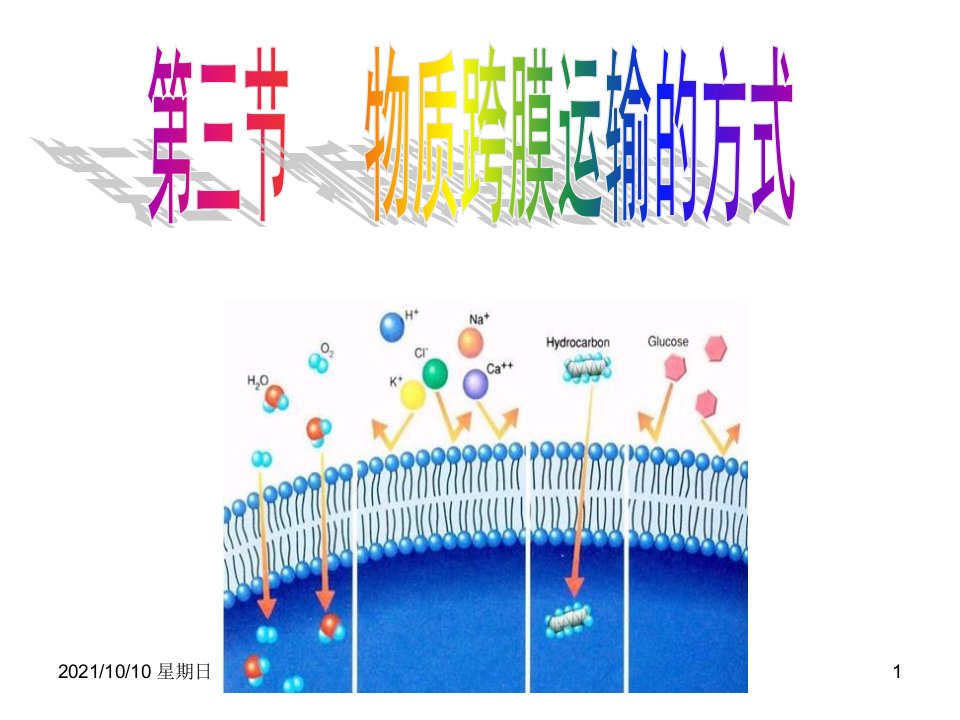 生物：4.3《物质跨膜运输的方式》课件(3)(新人教版必修1)