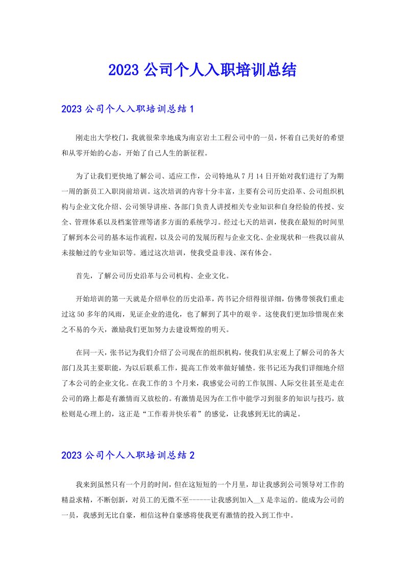 2023公司个人入职培训总结