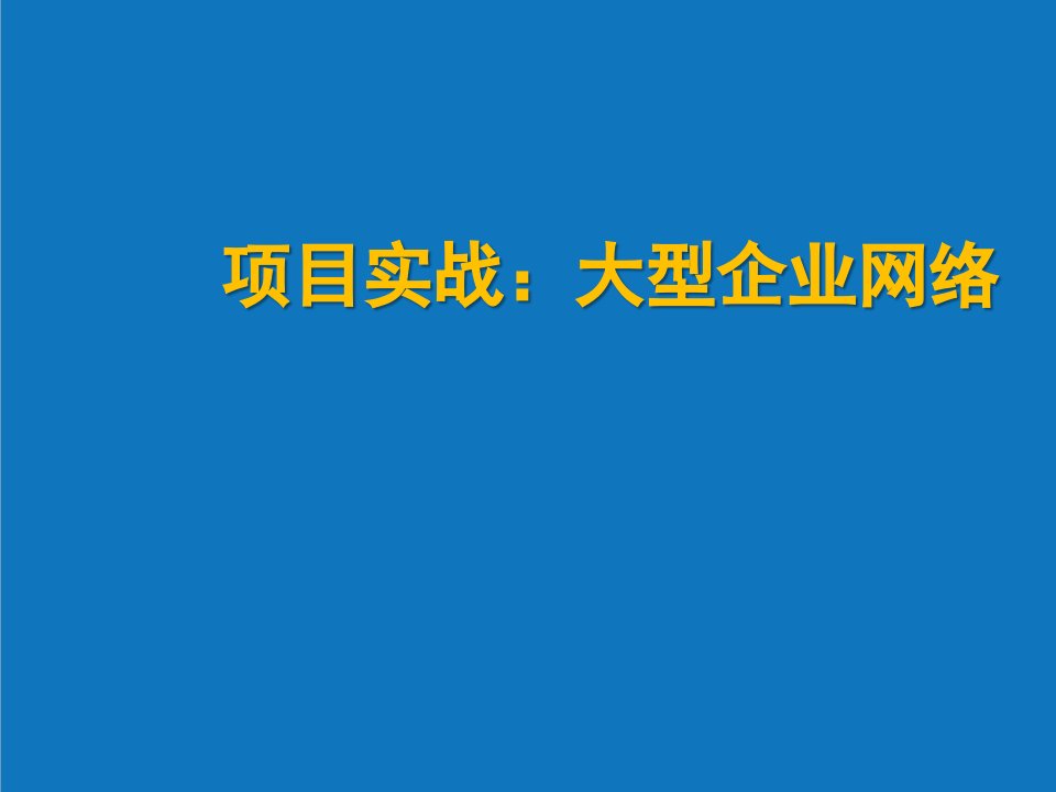 项目管理-项目实战：大型企业网络