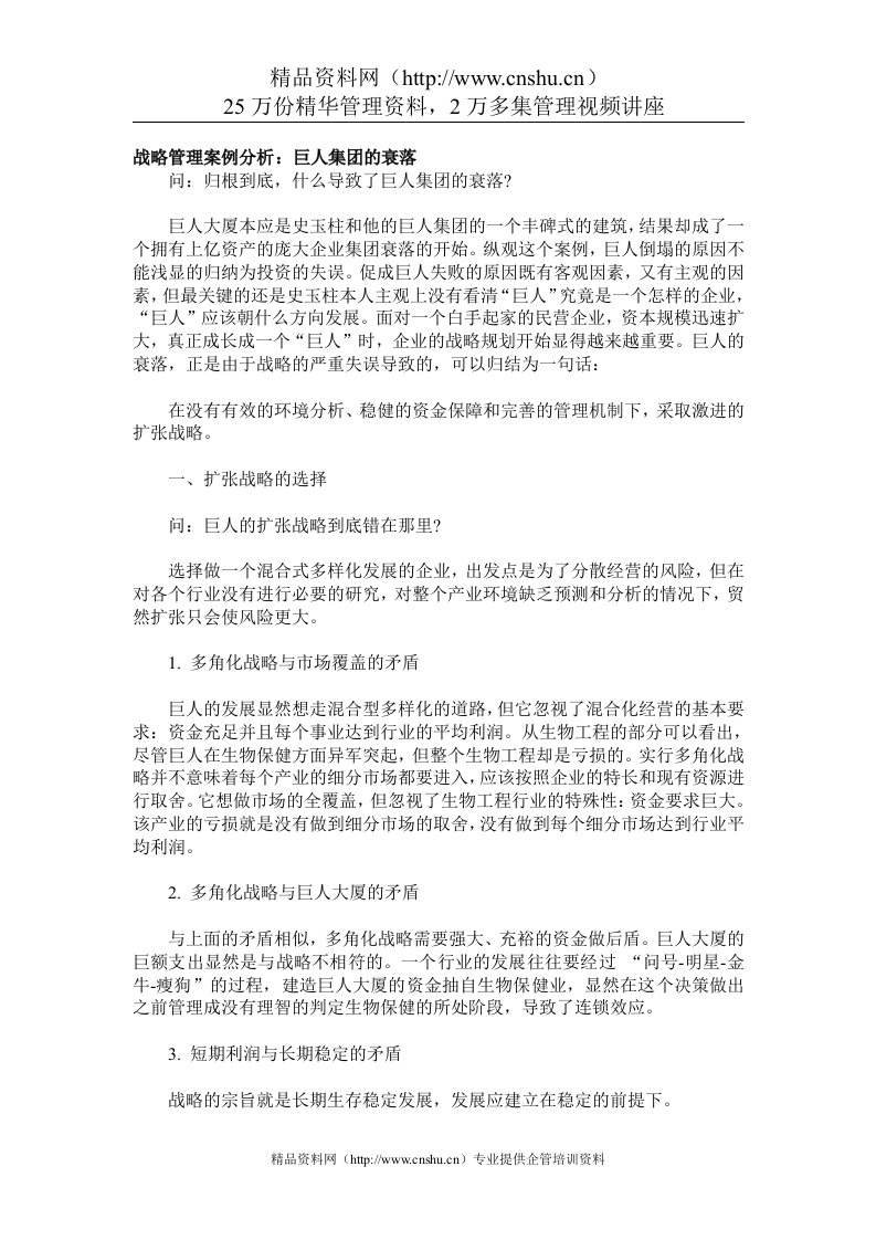 战略管理案例分析：巨人集团的衰落