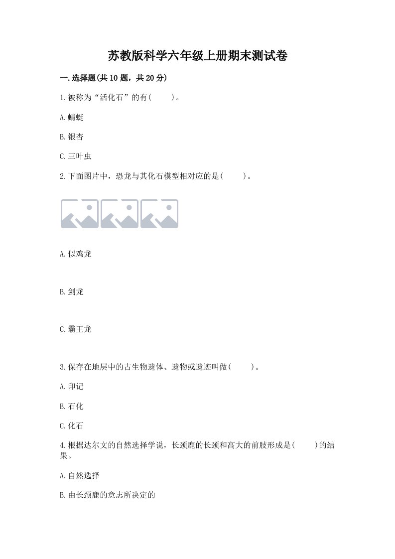 苏教版科学六年级上册期末测试卷及一套答案