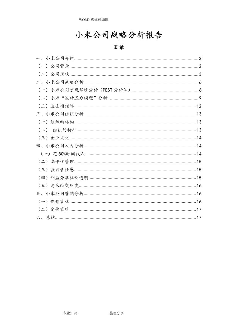 小米公司战略分析报告书模板