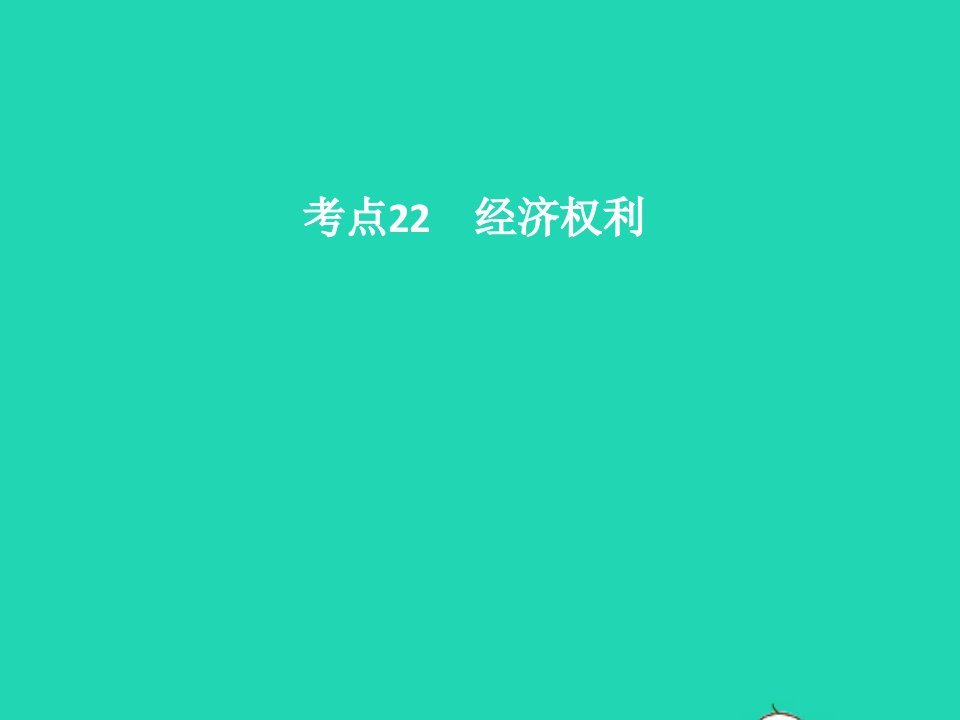 中考政治法律与秩序考点22经济权利课件