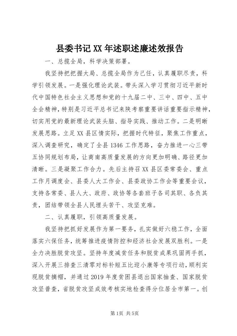 6县委书记某年述职述廉述效报告