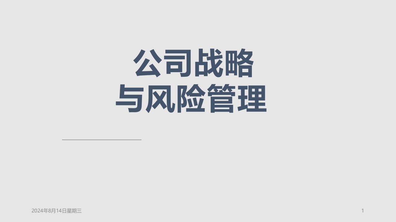 公司战略与风险管理课件(第一章学习PPT教案