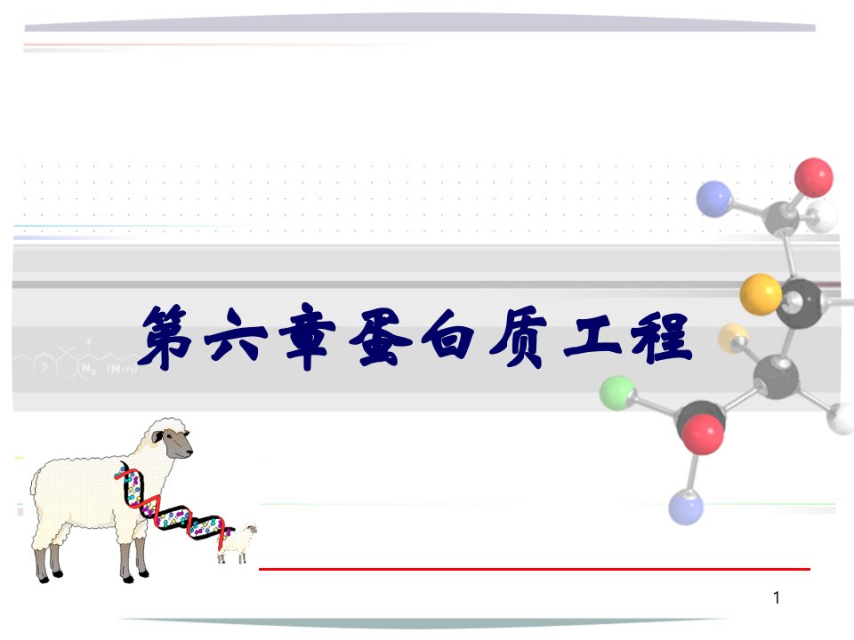 蛋白质工程ppt课件