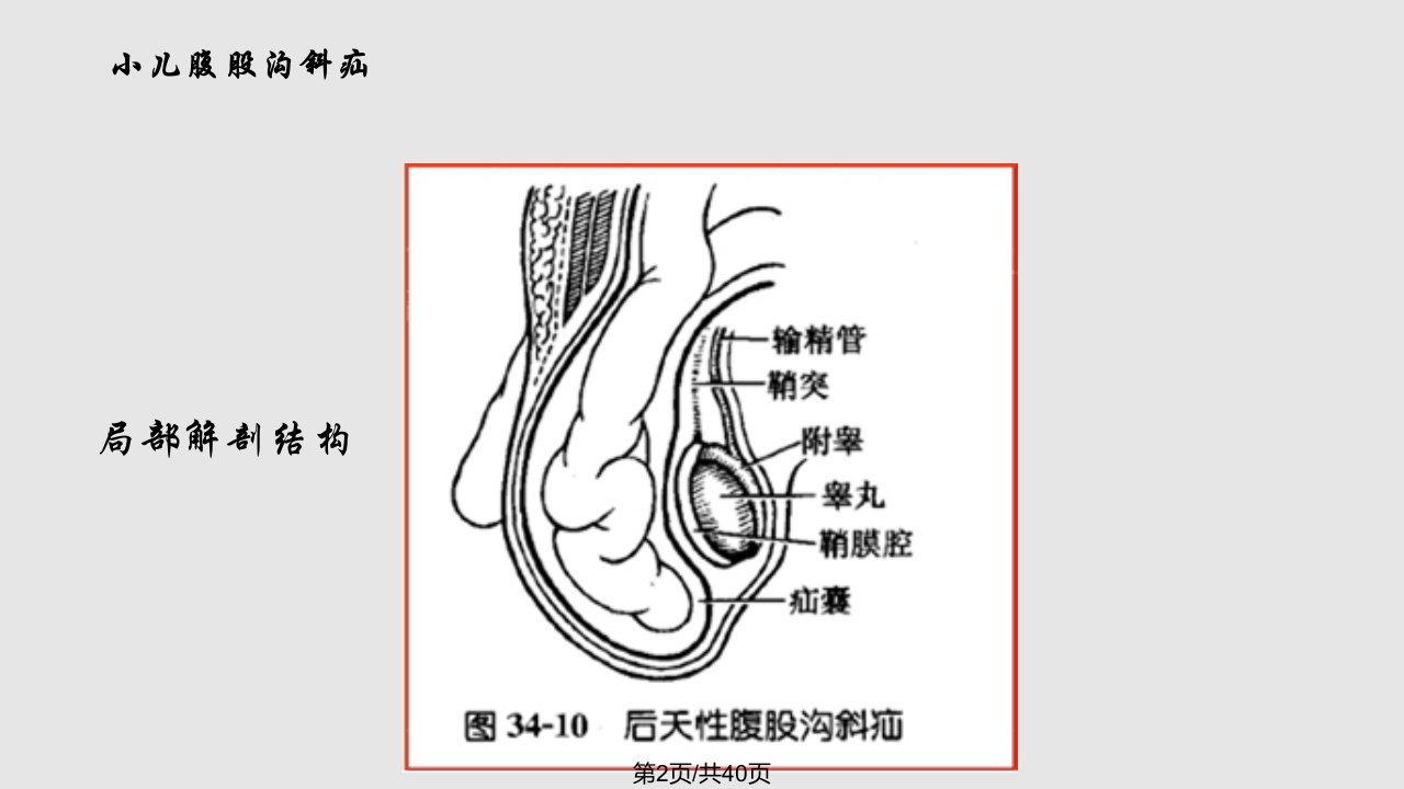 赵志芳3学习教程