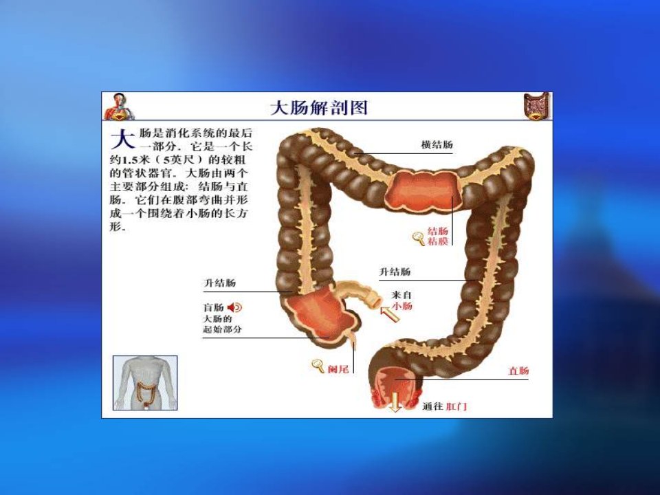 直肠癌的护理精华