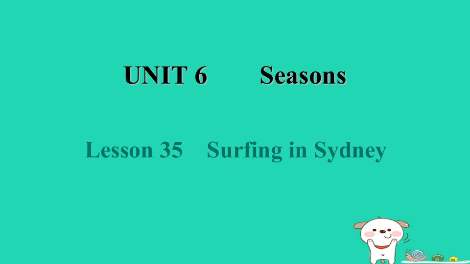 2024七年级英语下册Unit6SeasonsLesson35SurfinginSydney课件新版冀教版