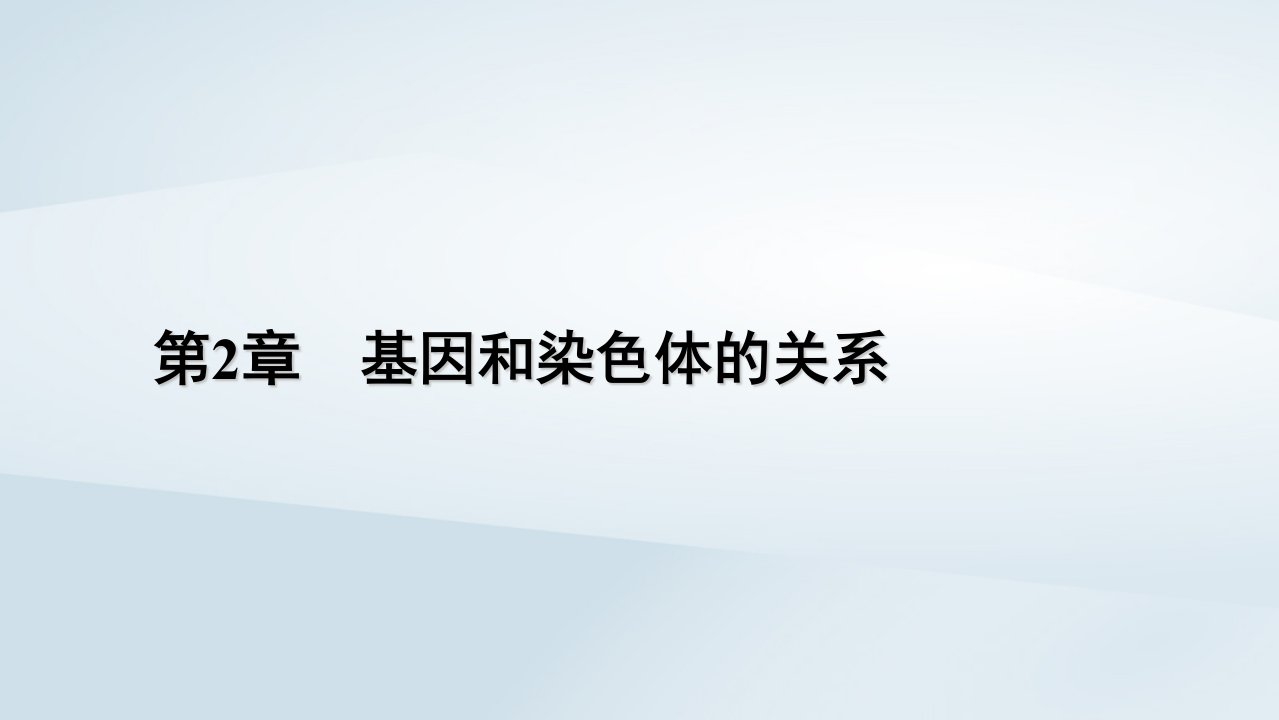 新教材2023年高中生物第2章基因和染色体的关系第2节基因在染色体上课件新人教版必修2