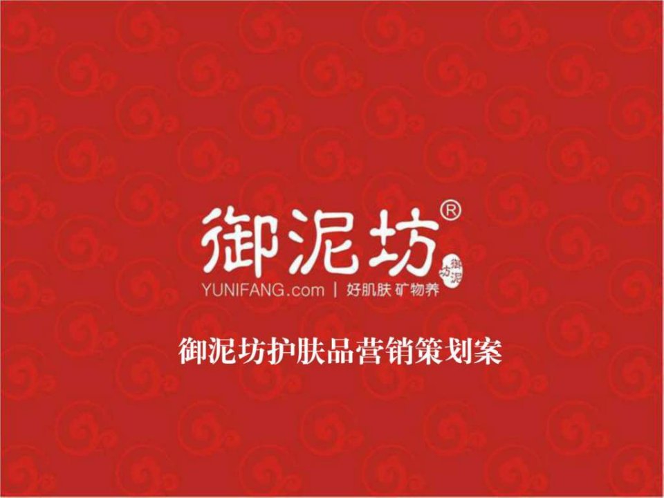 御泥坊营销案例分析.ppt