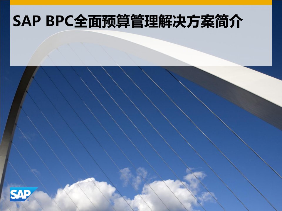 SAP全面预算管理解决方案BPC