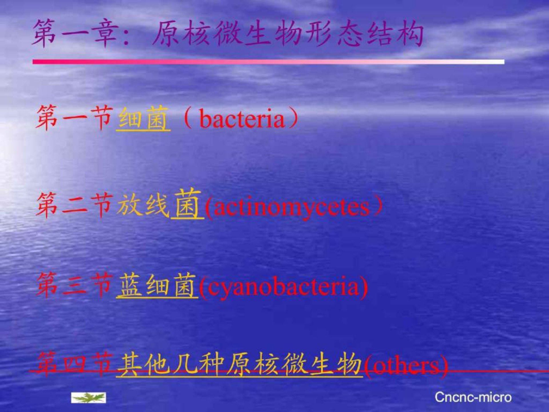 微生物学1