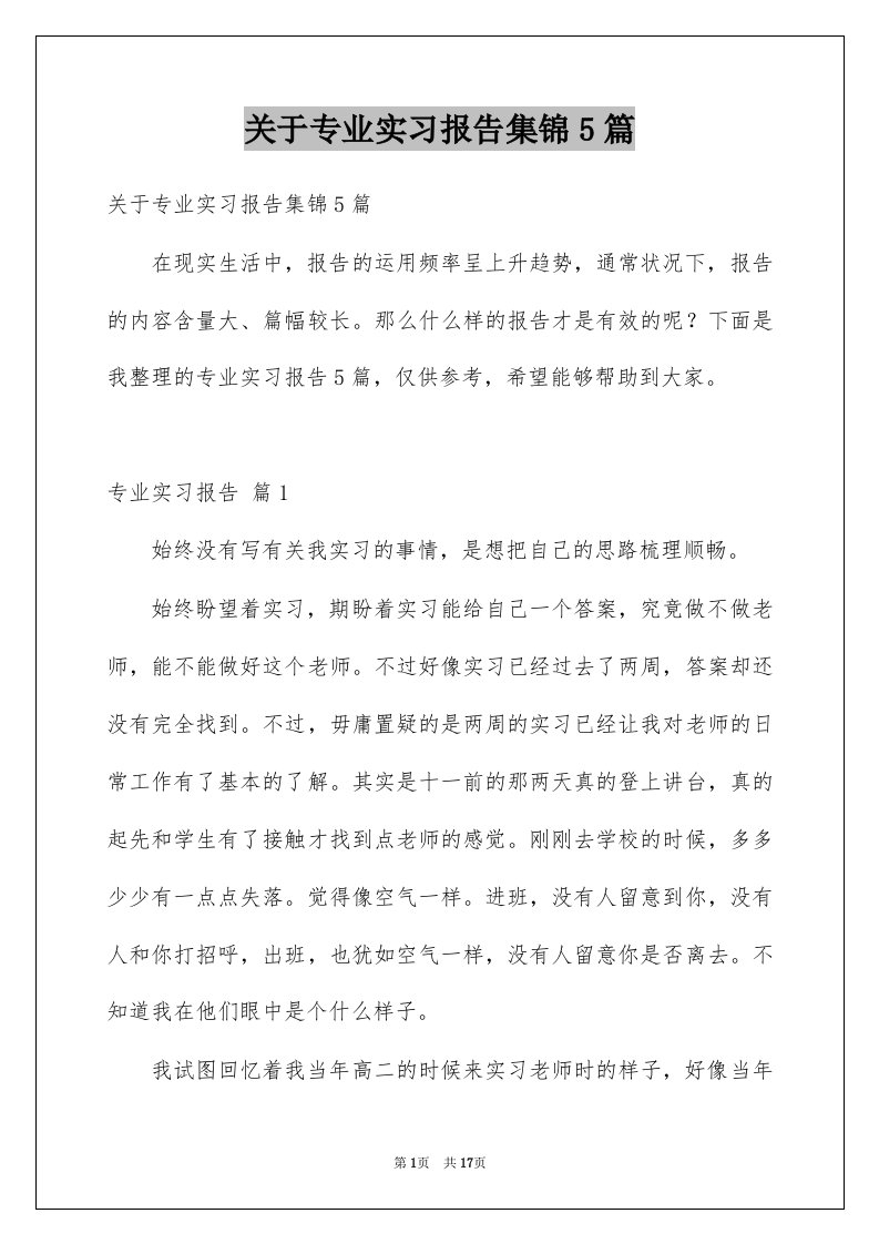 关于专业实习报告集锦5篇例文