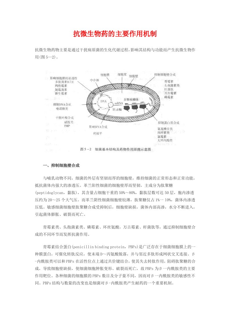 抗微生物药的主要作用机制