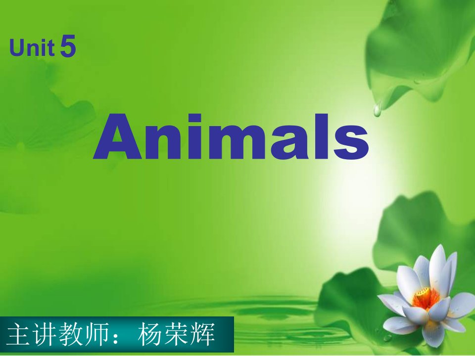 蕾快乐英语一上Unit5Animals课件之一