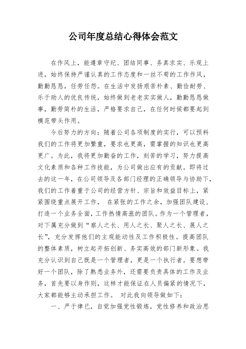 公司年度总结心得体会范文