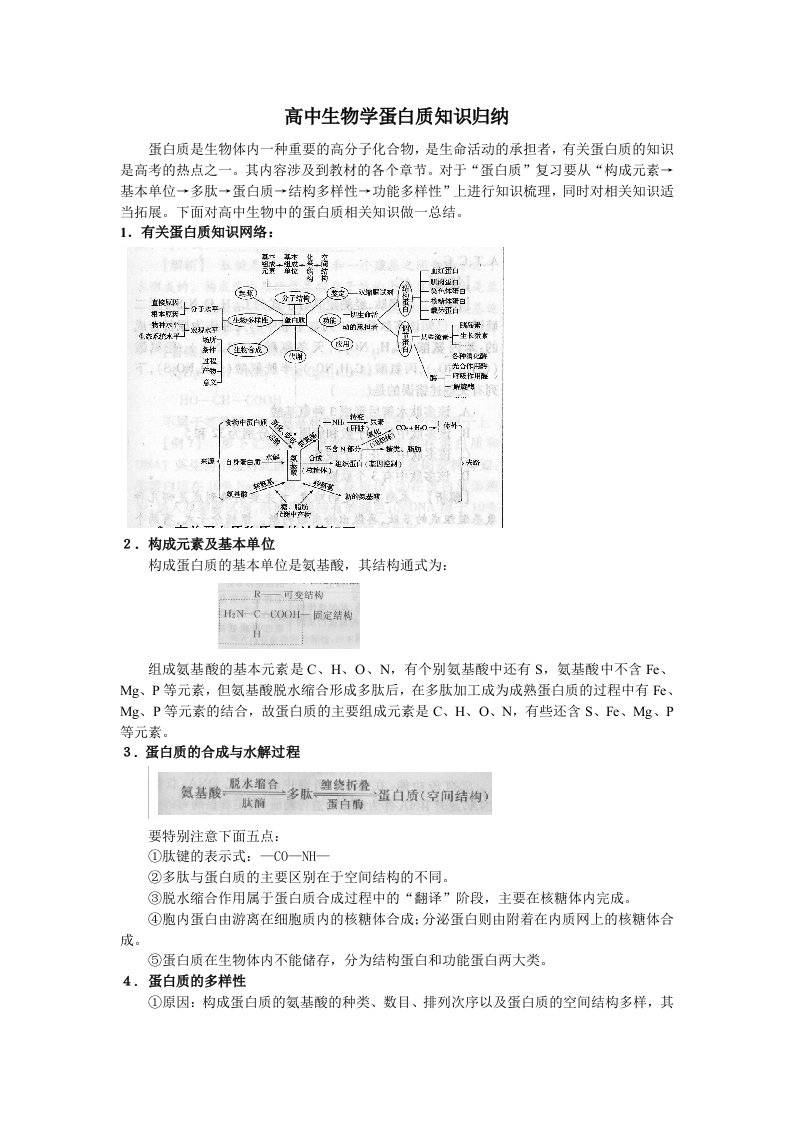 高中蛋白质知识总结