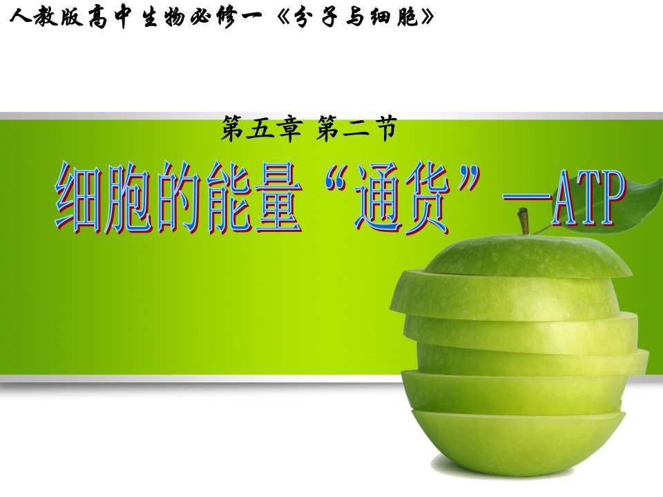 细胞的能量通货ATP