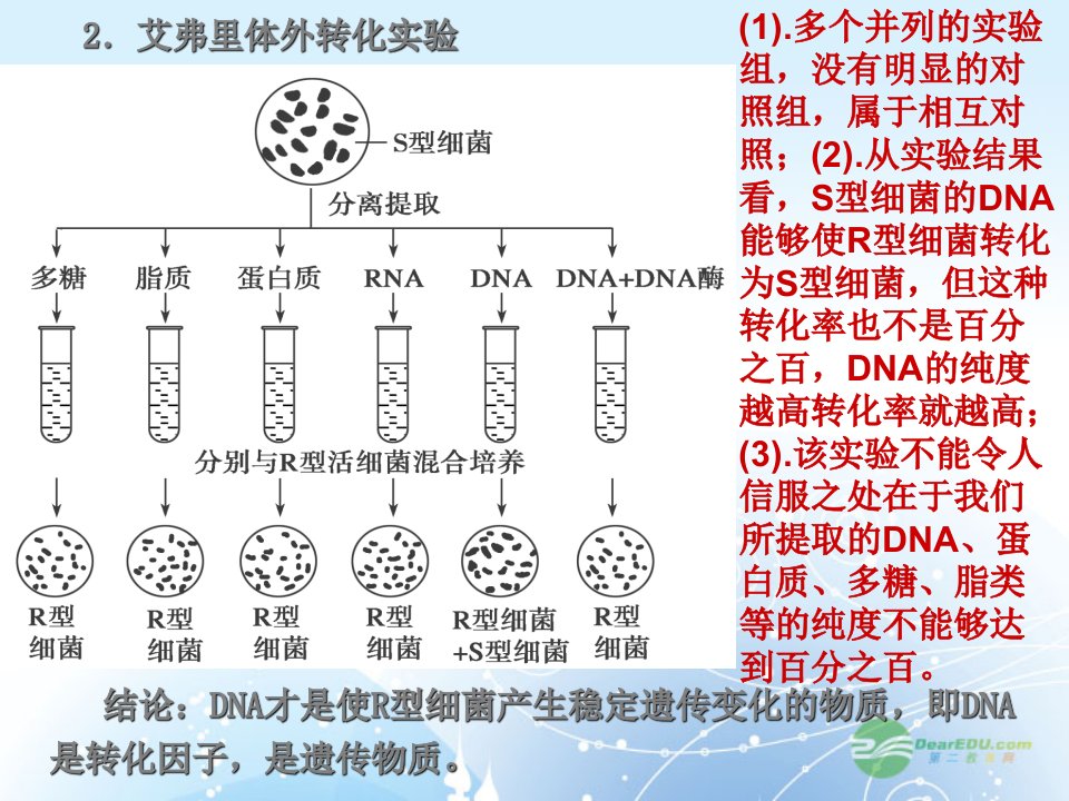 高考生物一轮复习