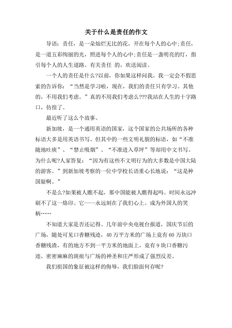 关于什么是责任的作文