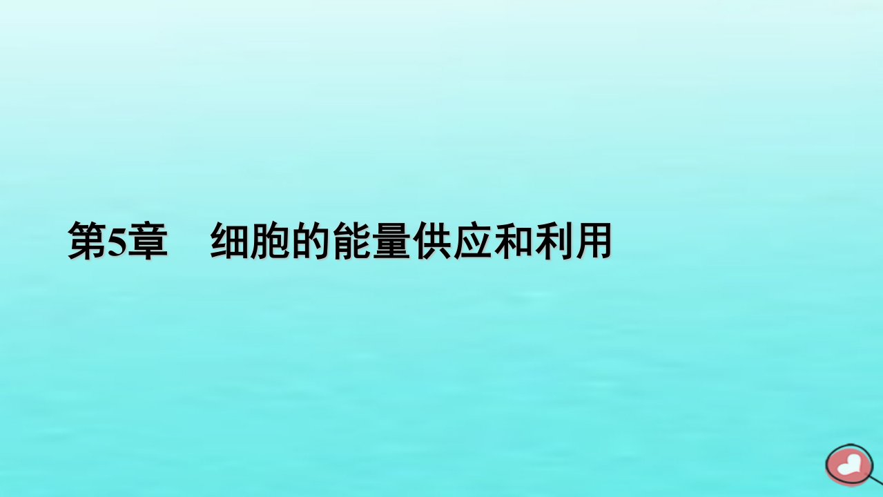 新教材2023年高中生物第5章细胞的能量供应和利用第2节细胞的能量“货币”ATP课件新人教版必修1