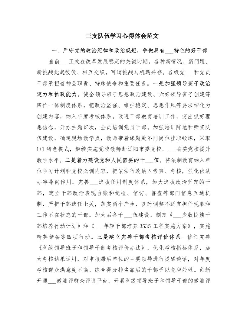 三支队伍学习心得体会范文