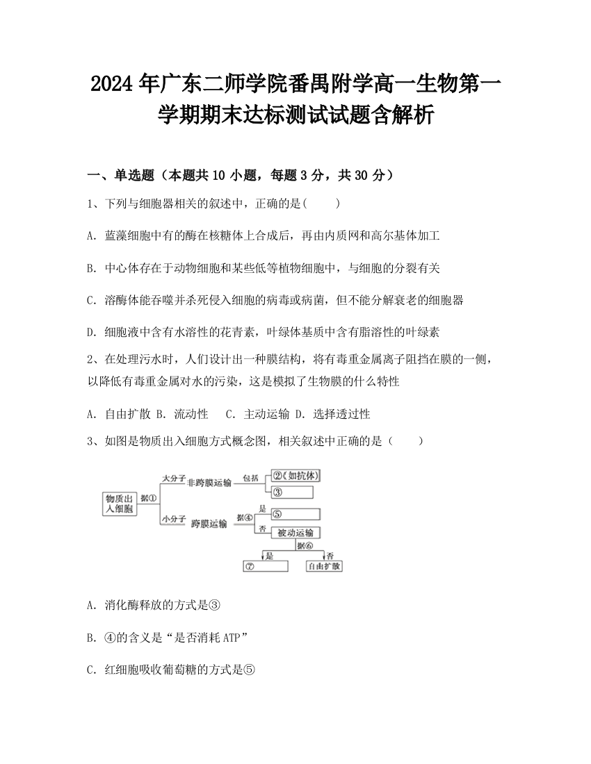 2024年广东二师学院番禺附学高一生物第一学期期末达标测试试题含解析