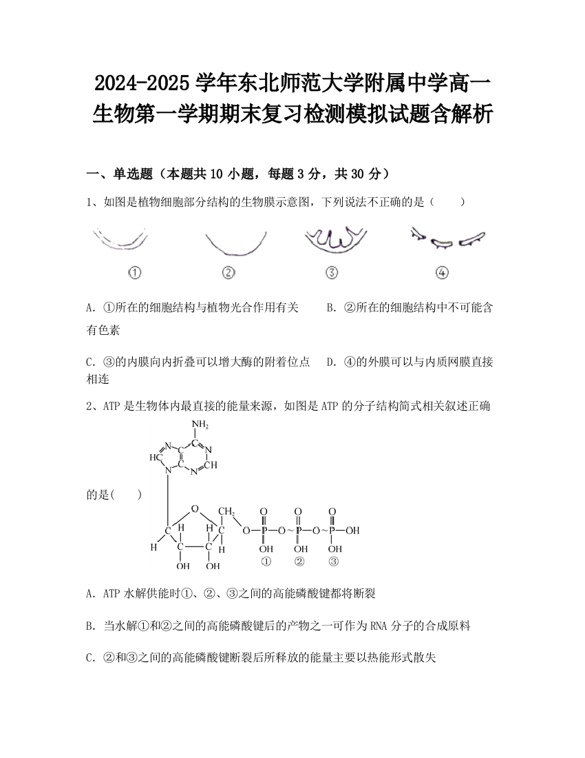 2024-2025学年东北师范大学附属中学高一生物第一学期期末复习检测模拟试题含解析