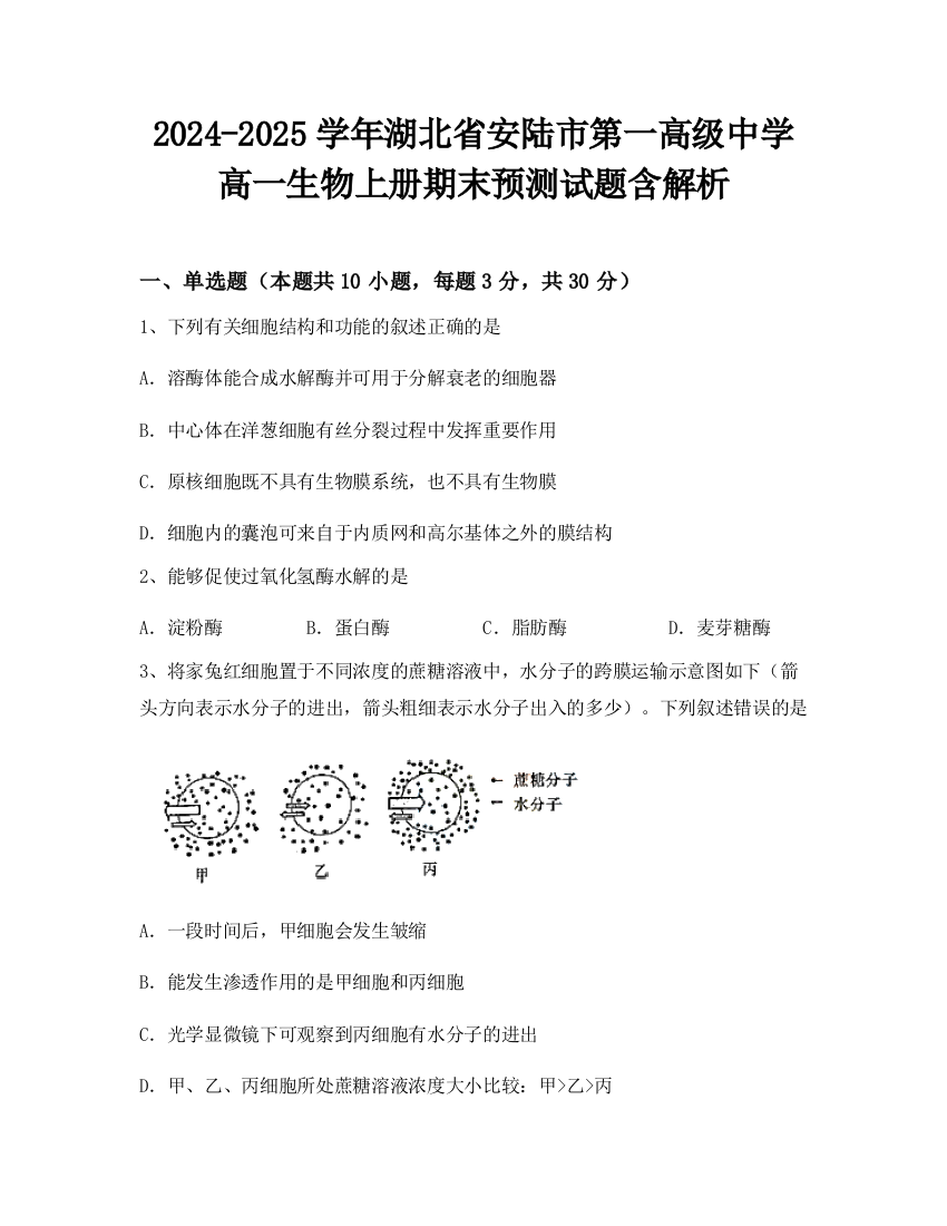 2024-2025学年湖北省安陆市第一高级中学高一生物上册期末预测试题含解析