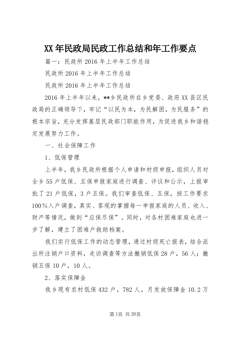 XX年民政局民政工作总结和年工作要点