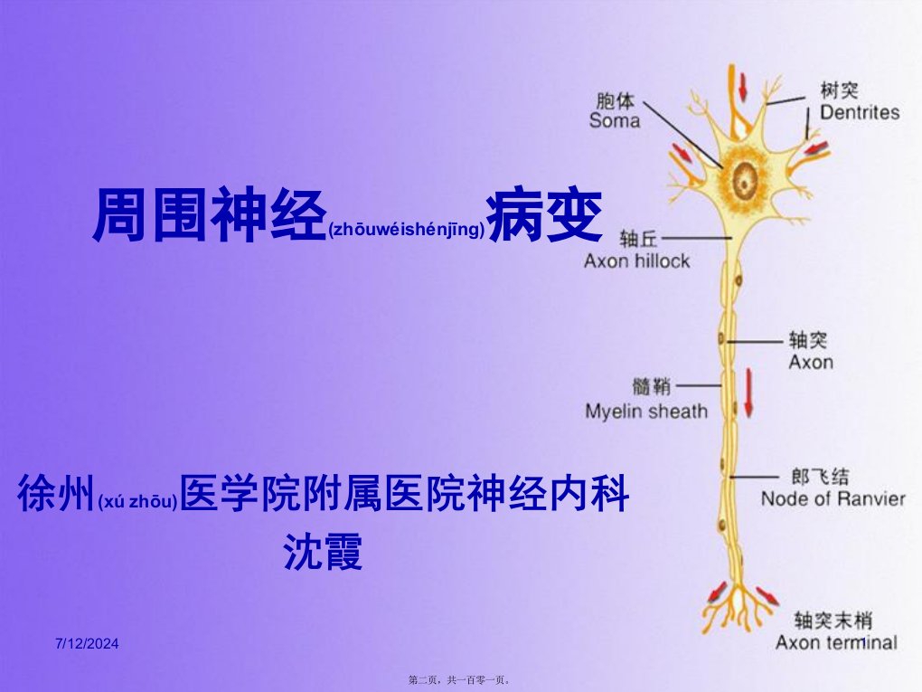 医学专题周围神经病变sx免费