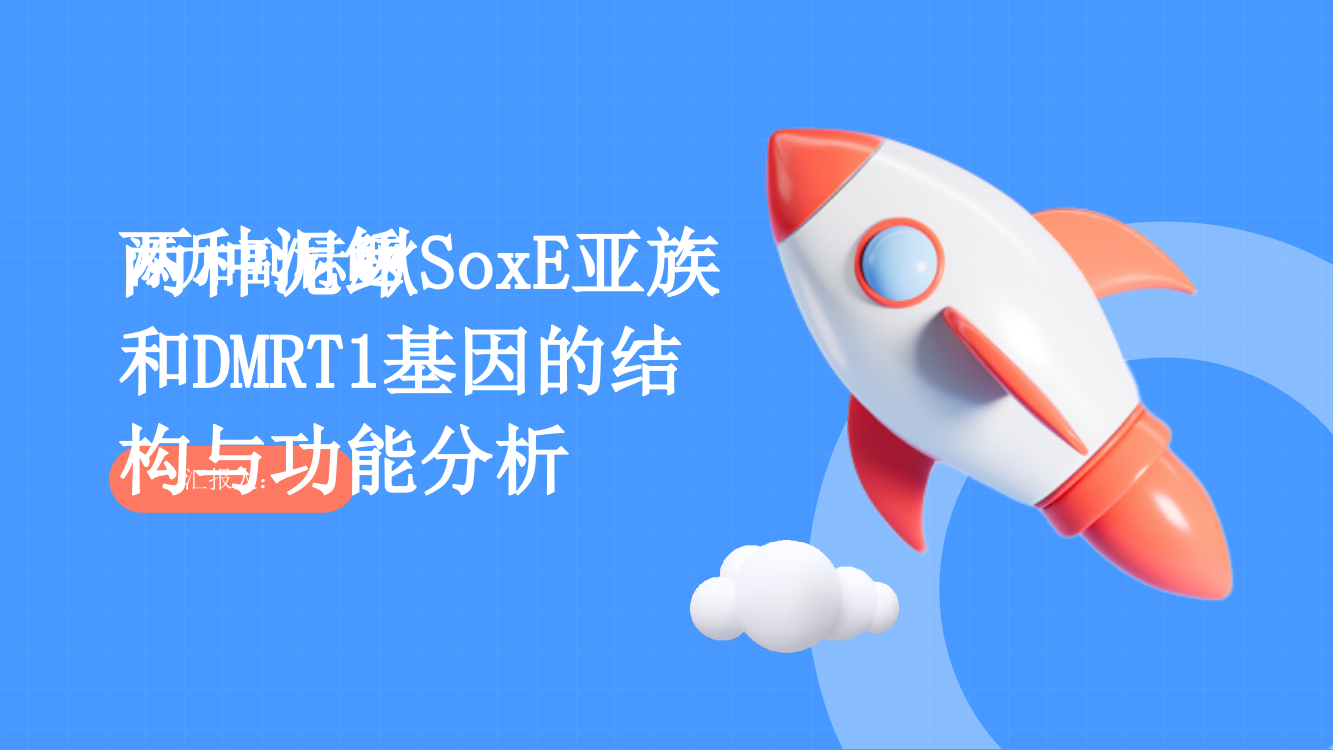 两种泥鳅SoxE亚族和DMRT1基因的结构与功能分析