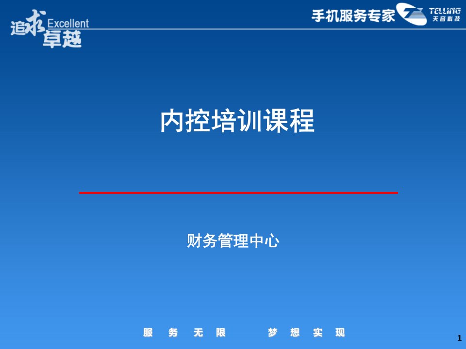 《内控培训课程》PPT课件