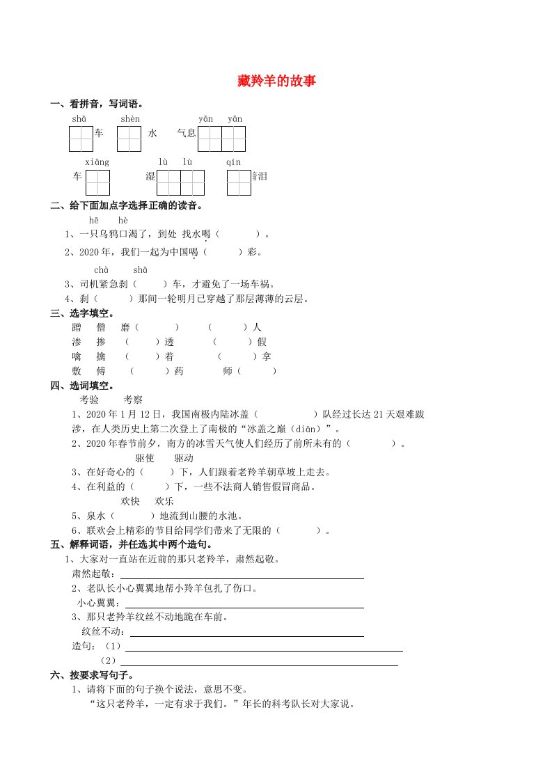 五年级语文上册2.5藏羚羊的故事练习题西师大版