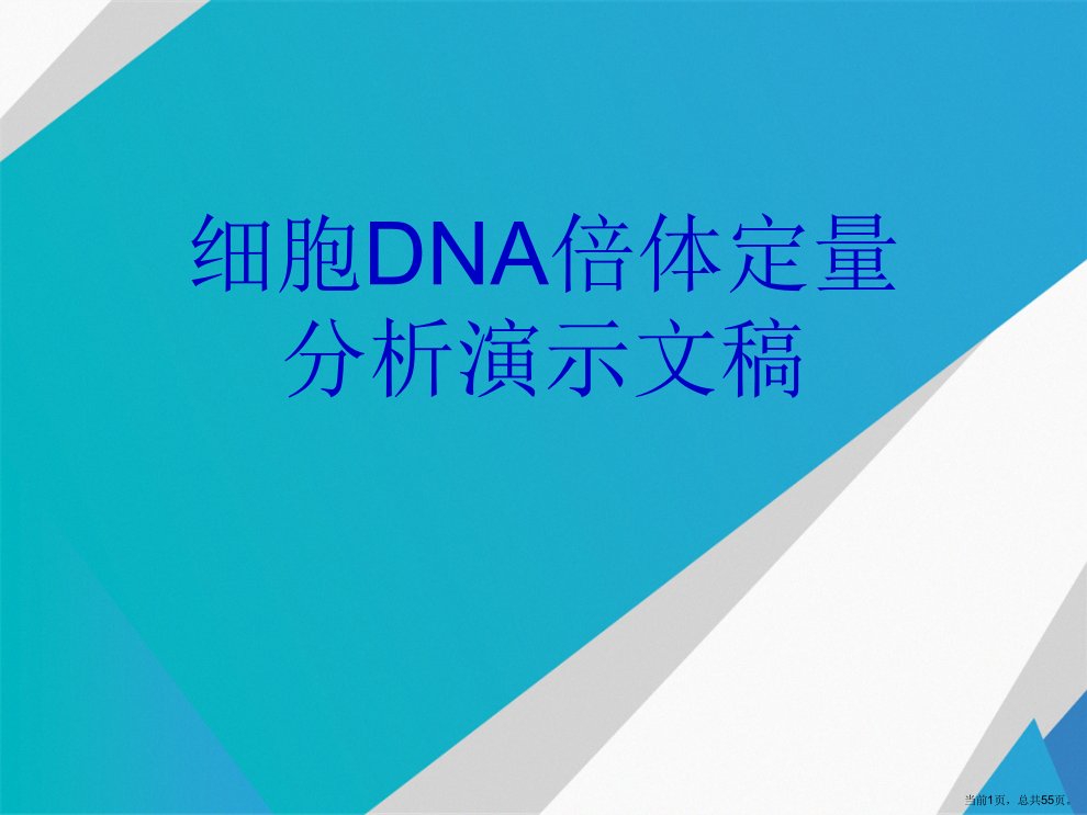 细胞DNA倍体定量分析演示文稿