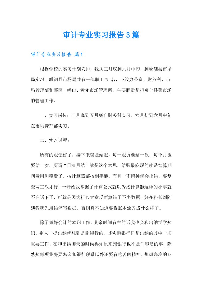 审计专业实习报告3篇