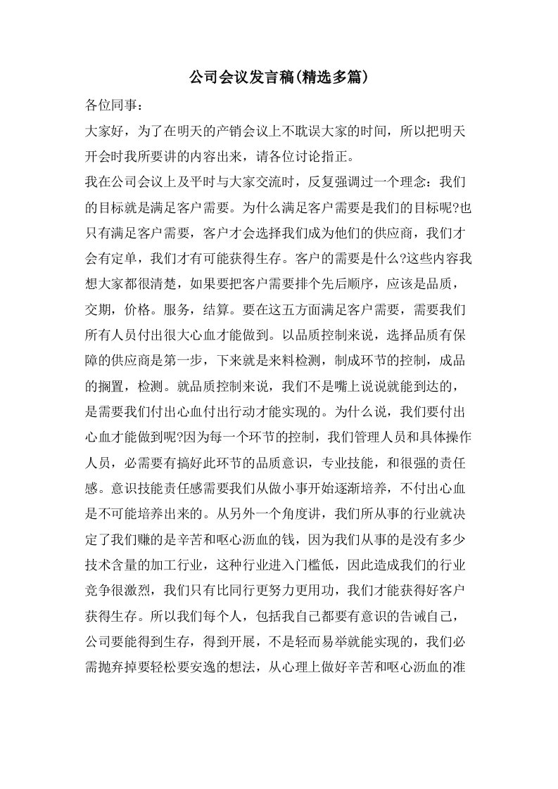 公司会议发言稿(多篇)