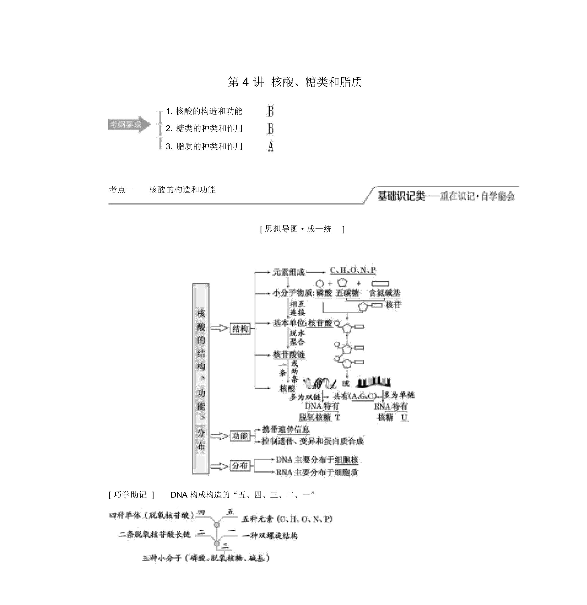 2020版高考生物一轮复习第一单元第4讲核酸、糖类和脂质讲义