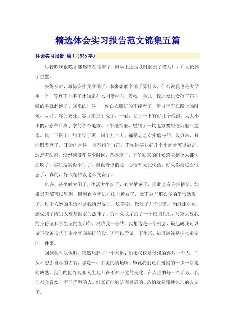 精选体会实习报告范文锦集五篇