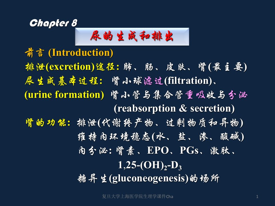 复旦大学上海医学院生理学课件Cha课件