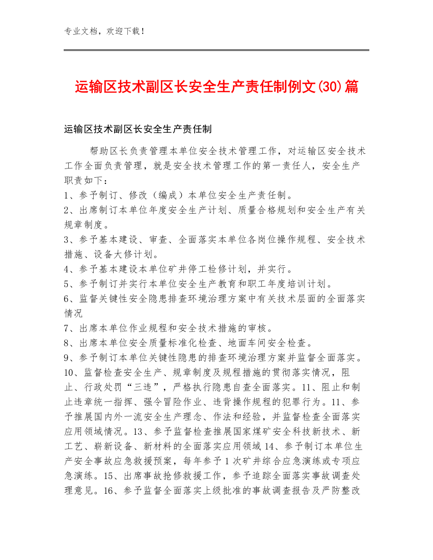 运输区技术副区长安全生产责任制例文(30)篇