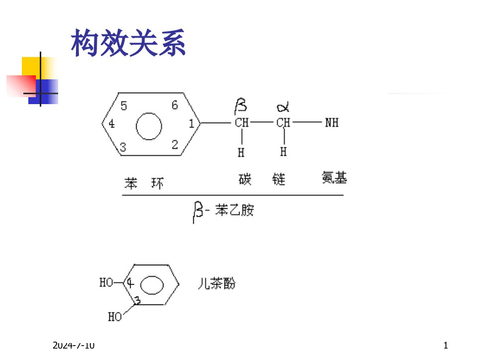 药理学课件第10章肾上腺素受体激动药ppt