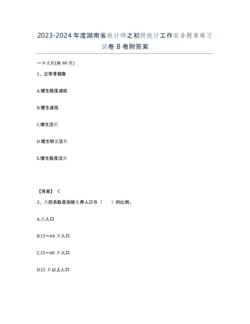 2023-2024年度湖南省统计师之初级统计工作实务题库练习试卷B卷附答案