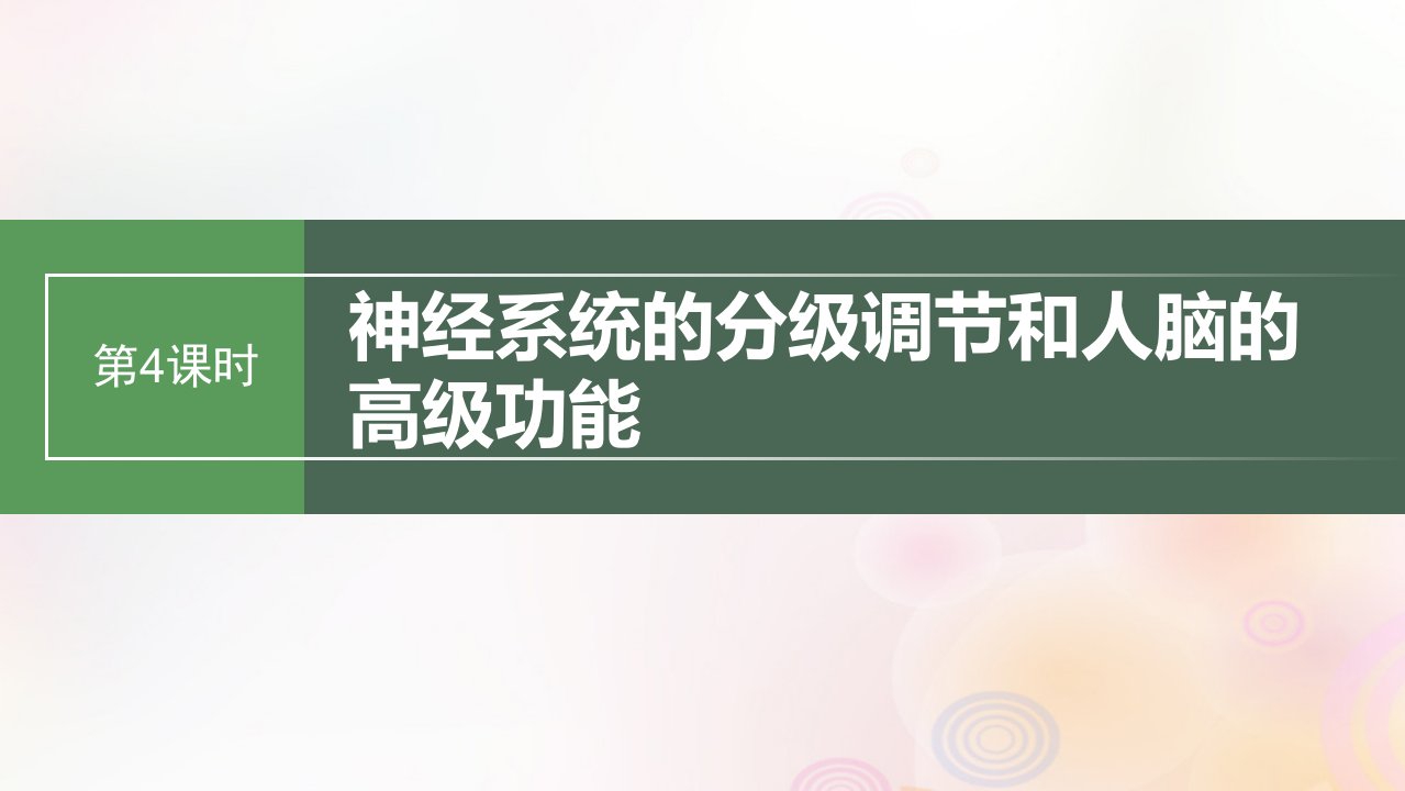 鲁湘辽新教材2024届高考生物一轮复习第八单元生命活动的调节第4课时神经系统的分级调节和人脑的高级功能课件