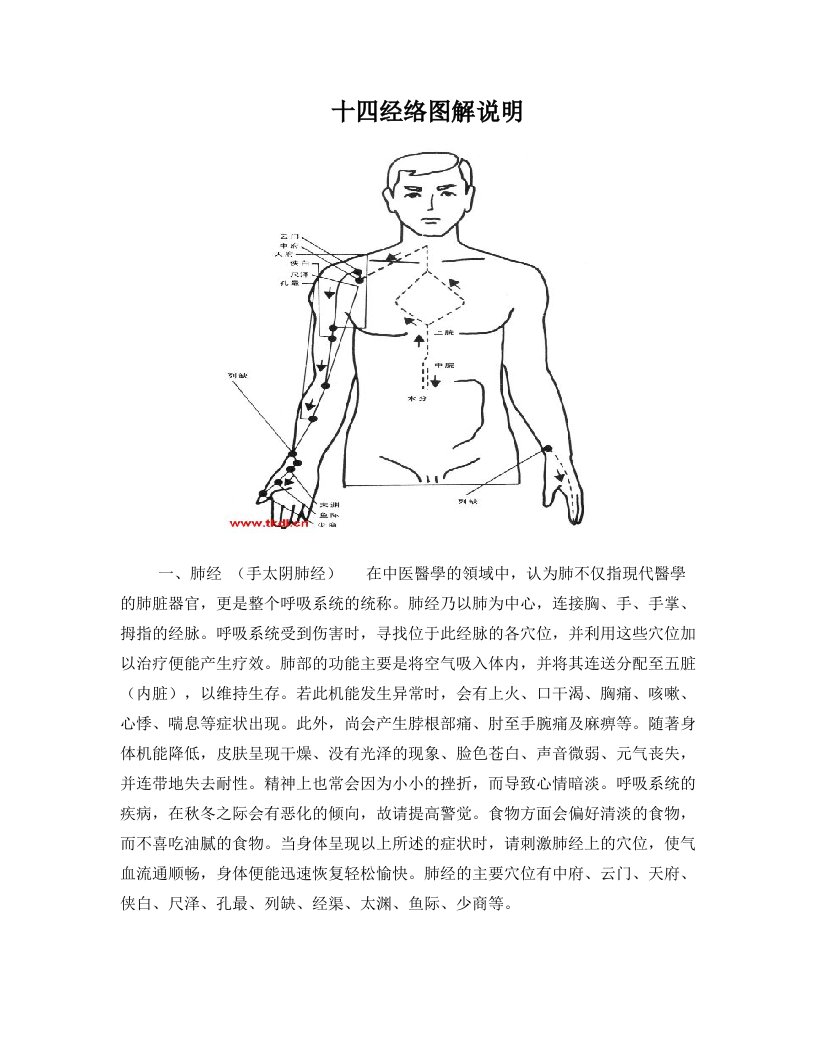 十四经络图解说明+2