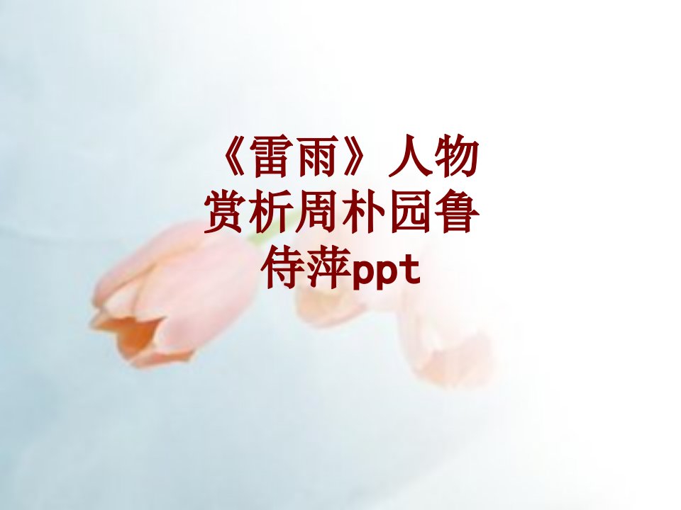 雷雨人物赏析周朴园鲁侍萍ppt经典课件